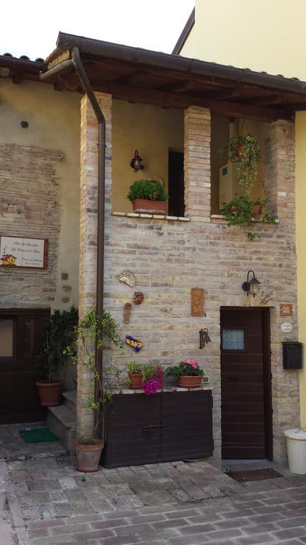 B&B La Casuccia Di Assisi Eksteriør bilde