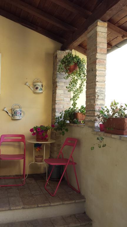B&B La Casuccia Di Assisi Eksteriør bilde